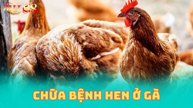 Một số kinh nghiệm chữa bệnh hen ở gà