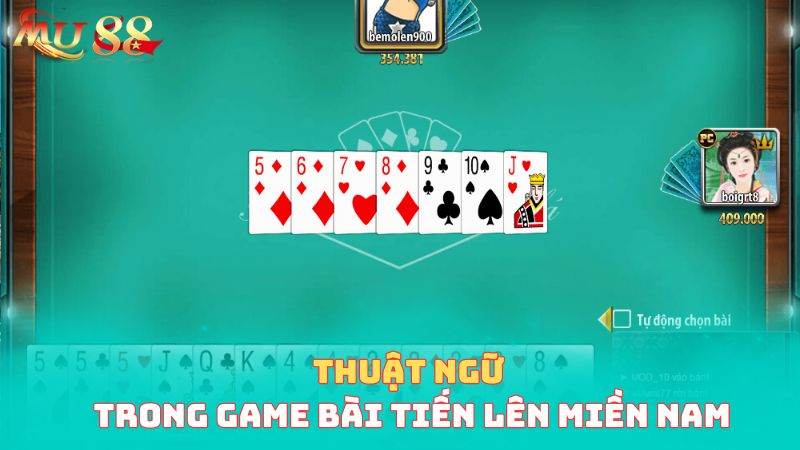 Thuật ngữ tiến lên miền Nam